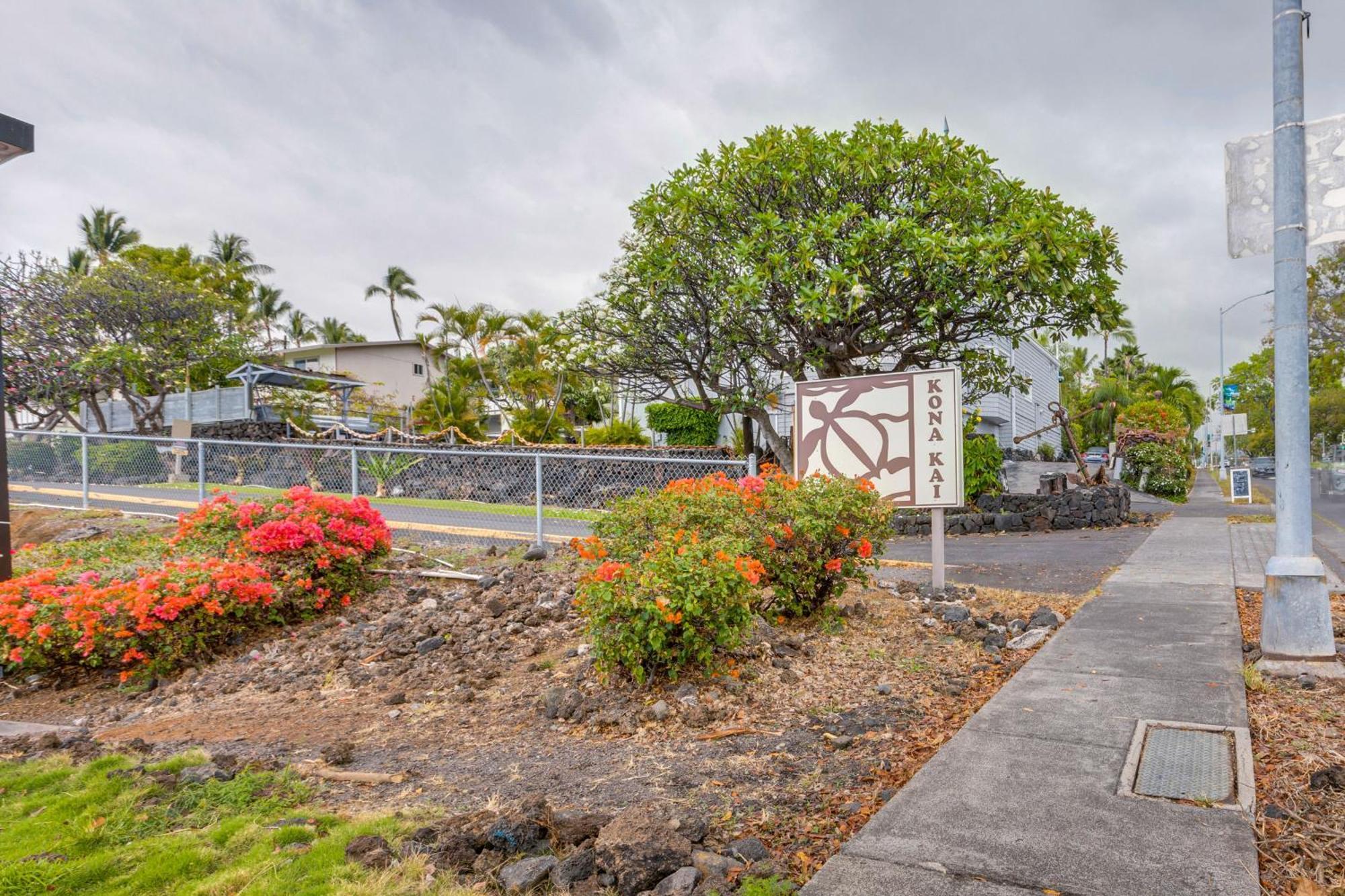 Kona Kai Haven With Pool Access, Walk To Beach! Kailua-Kona Zewnętrze zdjęcie